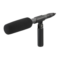 Preview: Sony ECM-673