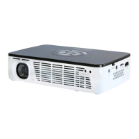 Preview: AAXA Technologies P300