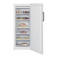 Preview: Beko FS225300