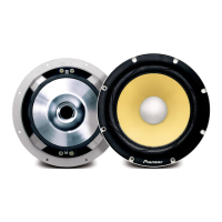 Preview: Pioneer TS-W12PRS