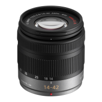 Preview: Panasonic Lumix H-FS014042