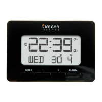 Preview: Oregon Scientific RM938
