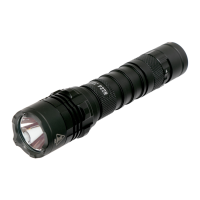 Preview: Nitecore P22R
