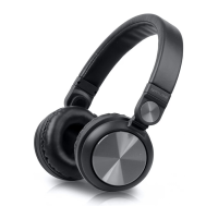 Preview: Muse M-220 CF