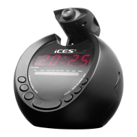 Preview: iCES ICRP-212