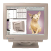 Monitor Logo