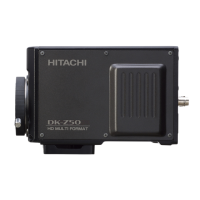 Preview: Hitachi DK-Z50