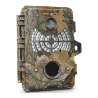 Preview: Spypoint IR-7