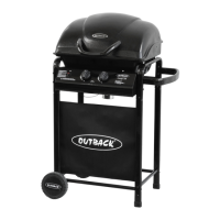Preview: Outback Omega 100
