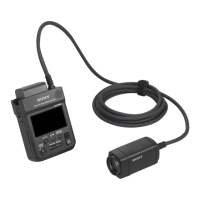 Preview: Sony HXR-MC1