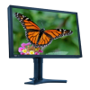 Monitor Logo