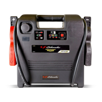Preview: Schumacher Electric DSR119
