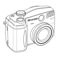 Preview: Sharp VE-CG30U