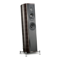 Preview: Sonus Faber Olympica I