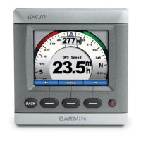 Preview: Garmin GMI 10