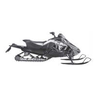Preview: Arctic Cat CFR 800 2010
