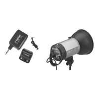 Preview: Hensel EXPERT PRO 250