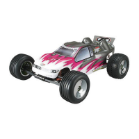 Preview: Team Losi XXX-NT Sport