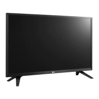 Preview: LG LY31 Series