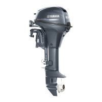 Preview: Yamaha F9.9