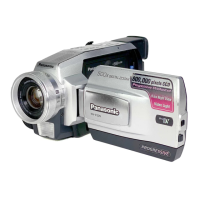 Preview: Panasonic NV-DS29EG
