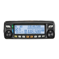 Preview: Yaesu FTM-100DE