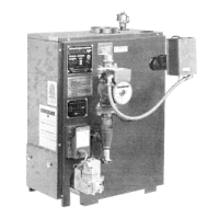 Preview: Crown Boiler DG-38-EI