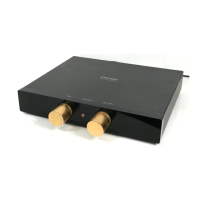Preview: Densen DM-10