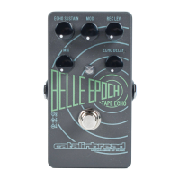 Preview: Belle Epoch Tape Echo