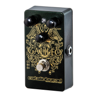 Preview: Catalinbread Galileo