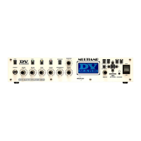 Preview: DV Mark MULTIAMP