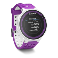 Preview: Garmin Forerunner 220