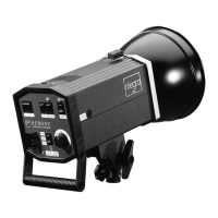 Preview: Hensel INTEGRA Compact 250