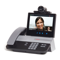 Preview: Avaya H175