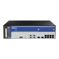 Preview: Hillstone SG-6000-E6360