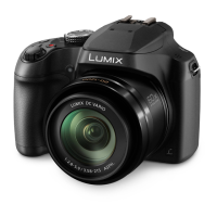 Preview: Panasonic Lumix DCFZ80GNK