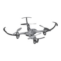 Preview: FLIP FLOP STUNT DRONE