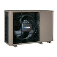 Preview: York TCHE Series