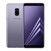 Preview: Samsung SM-A530FDSGR