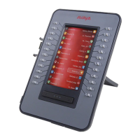 Preview: Avaya J100