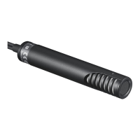 Preview: Sony ECMMS2