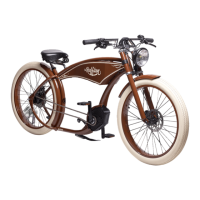 Preview: Ruff Cycles Ruffian