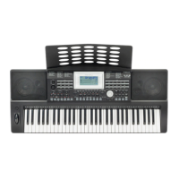 Preview: Medeli A810