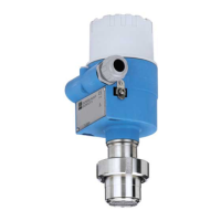 Preview: Endress+Hauser Deltapilot S DB50