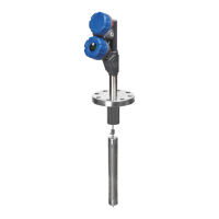 Preview: Magnetrol E3 Modulevel series