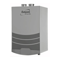 Preview: Aerco Esteem 399