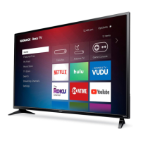 Preview: Magnavox 50MV349R