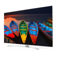 Preview: LG 79UH953V