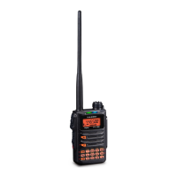 Preview: Yaesu FT-1DE