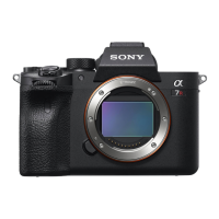 Preview: Sony A7R IV Corpo